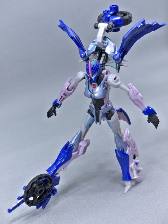 _1050805.jpg