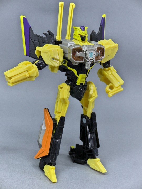 トランスフォーマー BOTCON2014 パイレーツ ブリムストーン(PIRATE 